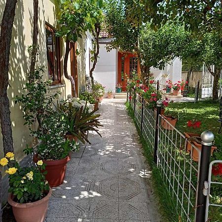 Hotel Kristina Mitllari 1 Tushemisht Exterior foto