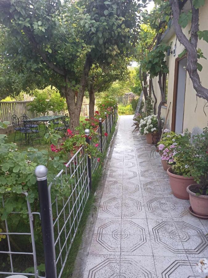 Hotel Kristina Mitllari 1 Tushemisht Exterior foto