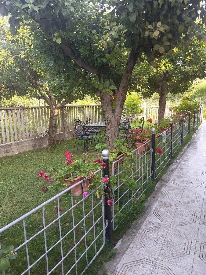 Hotel Kristina Mitllari 1 Tushemisht Exterior foto